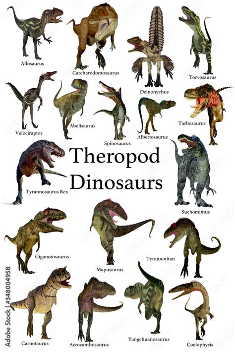 Theropod Dinosaurs - A collection set of Theropod carnivorous dinosaurs from the Cretaceous ...