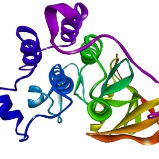 Structure of EGFR tyrosine kinase domain (EGFRtkd) | Download Scientific Diagram