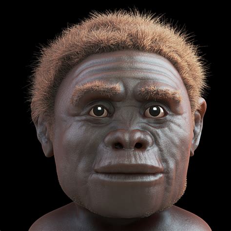 ATOR: Homo floresiensis