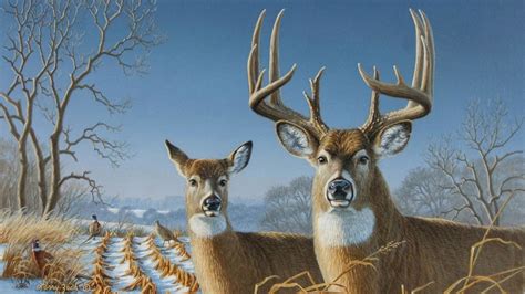 Big Whitetail Buck Wallpaper (56+ images)