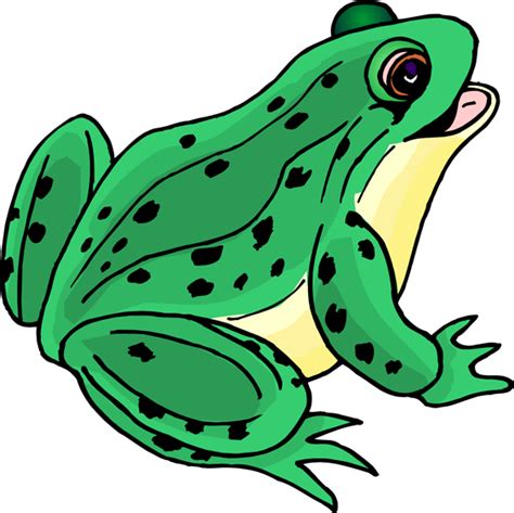 Frog Pictures Clip Art - Cliparts.co