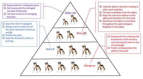 Wolf Pack Hierarchy Chart