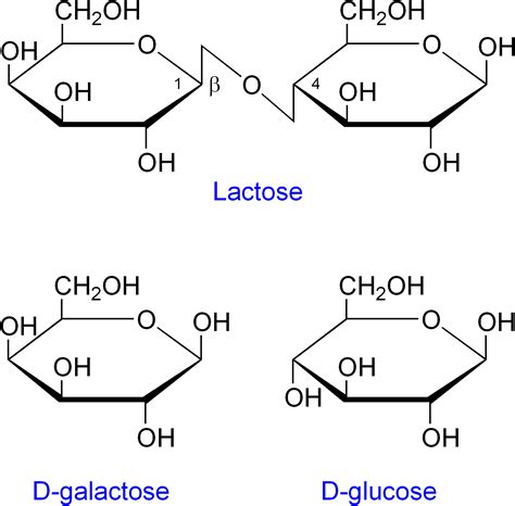 Quantification of Lactose in Milk