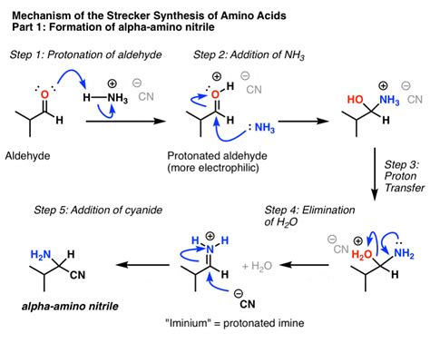 The Strecker Synthesis of Amino Acids – Master Organic Chemistry