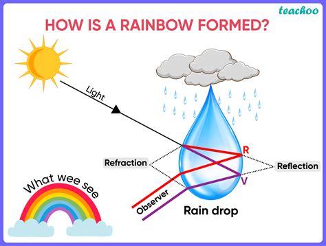 Which phenomena of light are involved in formation of a rainbow [MCQ]