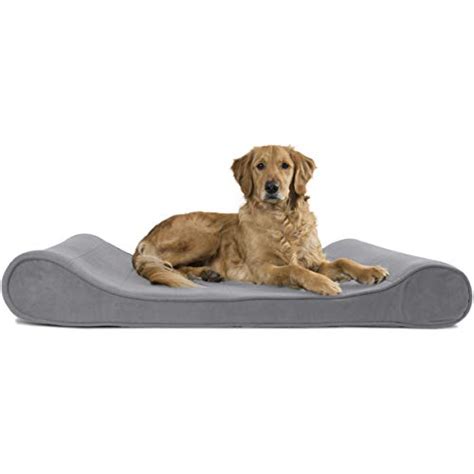 Compare price to kong dog beds extra large | TragerLaw.biz