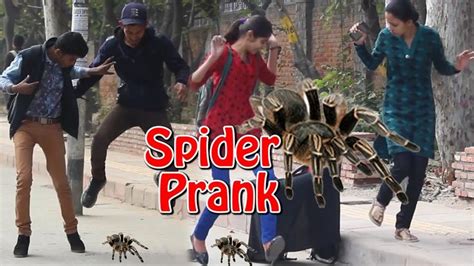 Giant Spider Prank - Scared Public - Totally Funny | THF - Ab Mauj Legi ... | Spider prank ...