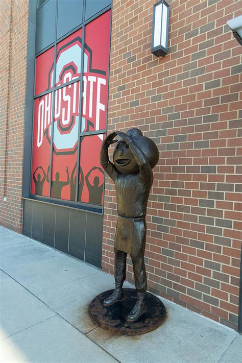 Brutus Buckeye statue Photograph by Eldon McGraw | Pixels