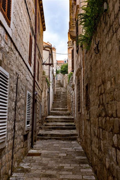 Street in the Old Town. Cavtat, Croatia Stock Image - Image of architecture, palm: 236085755