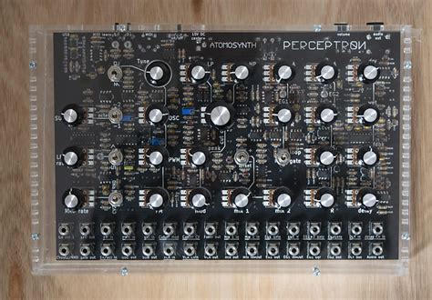 Atomosynth Perceptron - analogue synth - USB MIDI CV | Reverb Canada