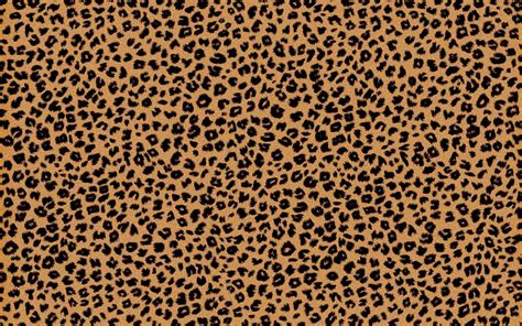 Cheetah Print Wallpapers - Top Free Cheetah Print Backgrounds - WallpaperAccess