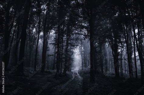 Night in scary dark forest. Surreal Halloween landscape Stock Photo | Adobe Stock