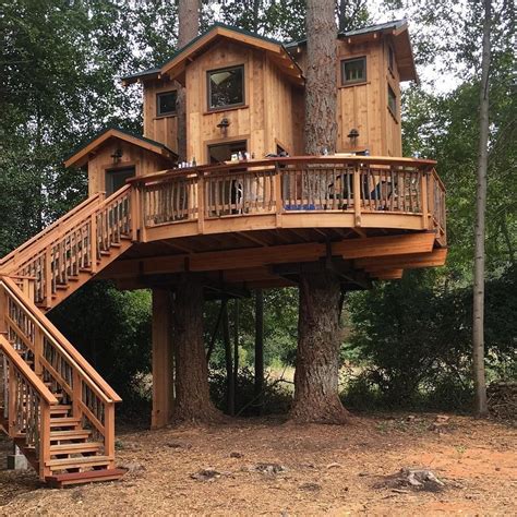 Pin by Eddie Trahan on tree houses | Beautiful tree houses, Luxury tree houses, Tree house designs