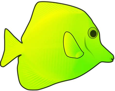 yellow fish - Openclipart