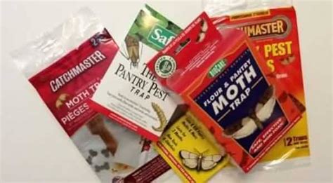 Moth Traps - How to Choose an effective pantry moth trap.