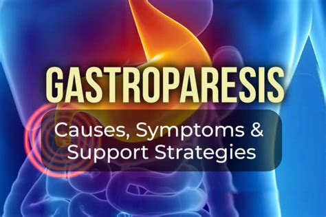 Gastroparesis: Symptoms, Causes and Natural Support Strategies