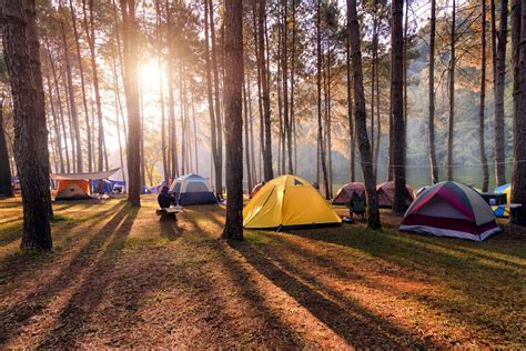 Camping 101: How to Gear Up for a Summer Outdoors - EcoWatch