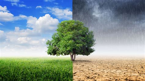 Climate change | Causes, Effects, & Facts – Caribsave