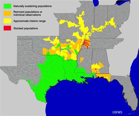 American Alligator Habitat Map