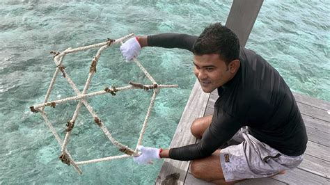 Coral Reef Restoration Project at Hurawalhi Maldives Resort