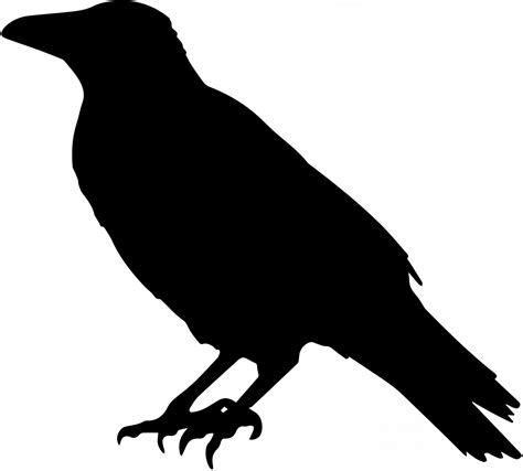 Raven Silhouette Vector at Vectorified.com | Collection of Raven Silhouette Vector free for ...