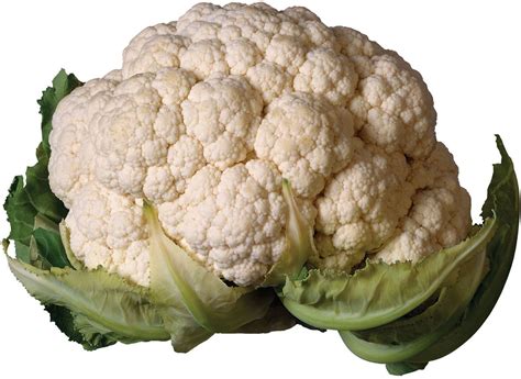 Cauliflower | Nutrition, Health Benefits, Recipes | Britannica