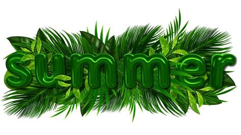 Palm Leaf Border Vector Art, Icons, and Graphics for Free Download