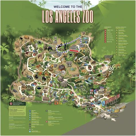 Zoo Map - Los Angeles Zoo and Botanical Gardens (LA Zoo)