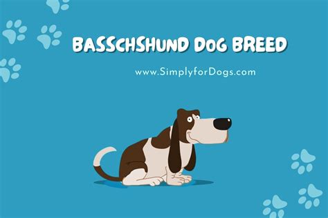 Basschshund Dog Breed (Diet & Pet Tips) - Simply For Dogs