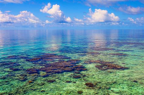 Coral Reef Near the Island . Maldives Photograph by Jenny Rainbow - Pixels