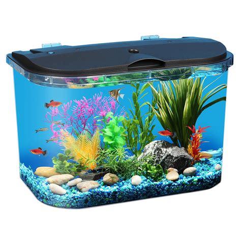 5 Gallon Fish Tanks - Options and Reviews 2020 | A Little Bit Fishy