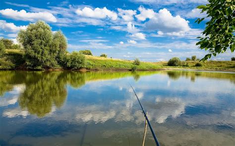 Free Bass Fishing Wallpaper - WallpaperSafari