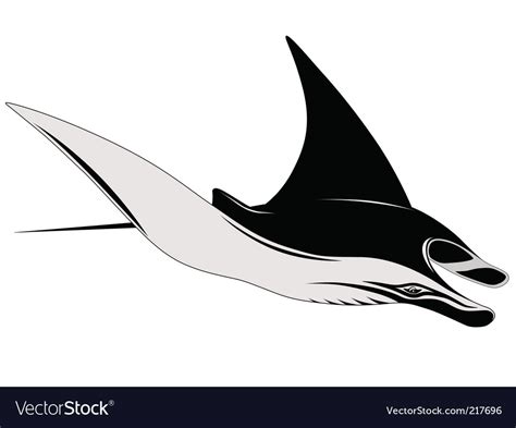 Manta ray Royalty Free Vector Image - VectorStock