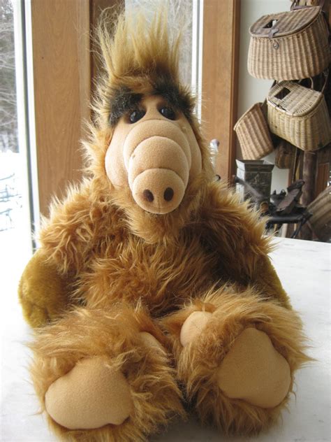 My Alf doll use to talk....here kitty kitty Childhood Toys, Childhood Memories, Alf Doll, Alien ...