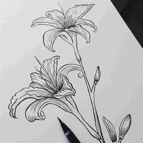 Flower Ink Drawing at PaintingValley.com | Explore collection of Flower ...