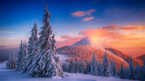 2048x1152 Snowy Pine Trees And Mountains 4k Wallpaper,2048x1152 Resolution HD 4k Wallpapers ...