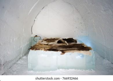 226 Inside An Igloo Images, Stock Photos & Vectors | Shutterstock