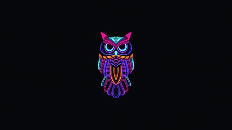 HD wallpaper: owl, birds, animals, artwork, simple background ...