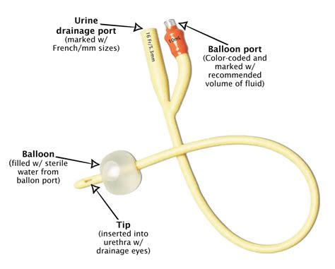 Foley Catheter Insertion Diagram