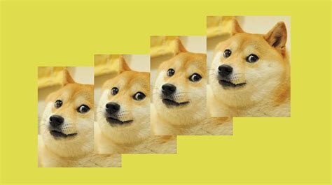 82+ Meme Doge