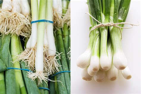 Scallions vs Green Onions: This Is the Difference