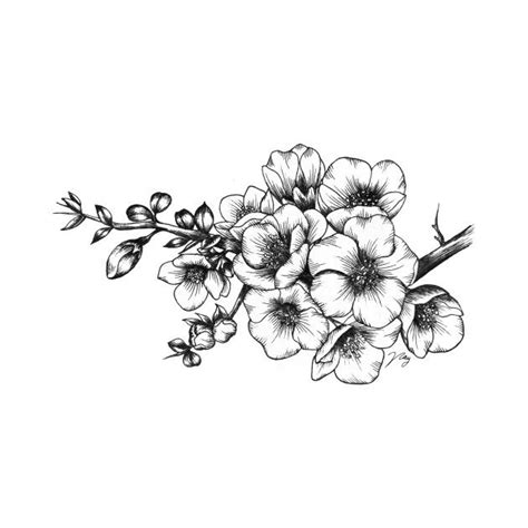 hawthorn flower tattoo designs - wallpaperforcoldwalls