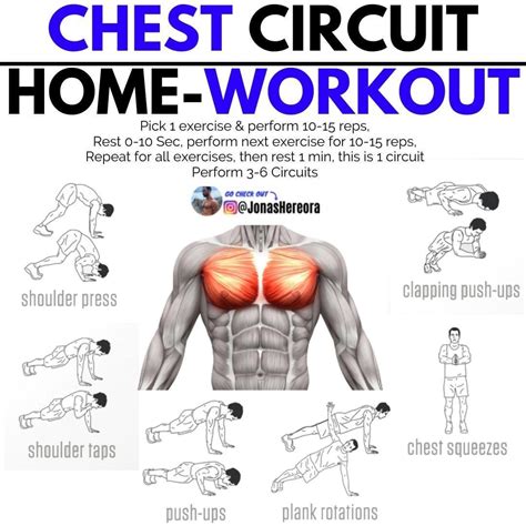 15 Minute Chest Workouts With Weights At Home for Burn Fat fast | Fitness and Workout ABS Tutorial