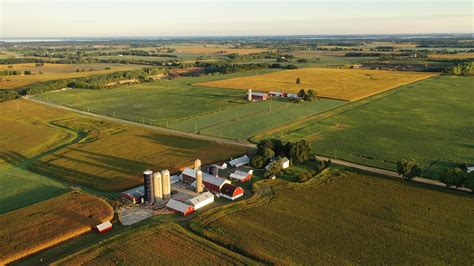 Aerial view of farm, red barns, corn field in September. Harvest season. Rural landscape ...