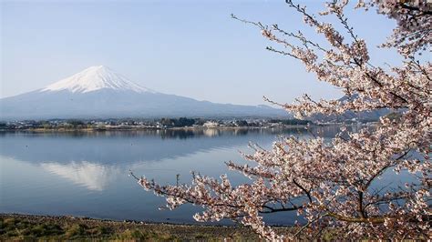 Lake Kawaguchiko - Fuji Five Lakes Travel