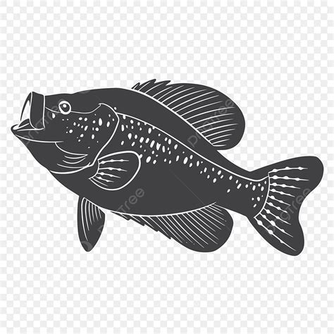 Crappie PNG, Vector, PSD, and Clipart With Transparent Background for Free Download | Pngtree