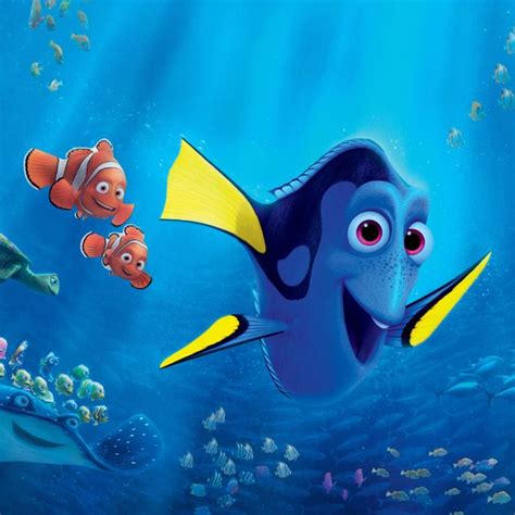 Picture Of Dory Fish Finding Nemo - Unique Fish Photo