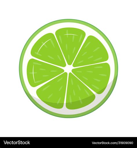 Slice lime isolated on white background Royalty Free Vector