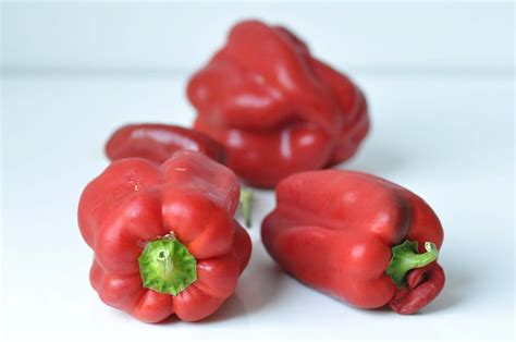 harvesting bell pepper // paprikaernte | Foodiesgarden