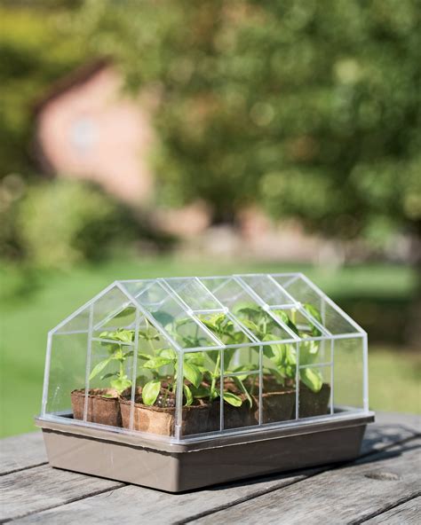 Tabletop Greenhouse - Seedling Tray with Cover | Gardeners.com